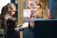 Sherbrooke : un été de découvertes au Musée de la nature et des sciences